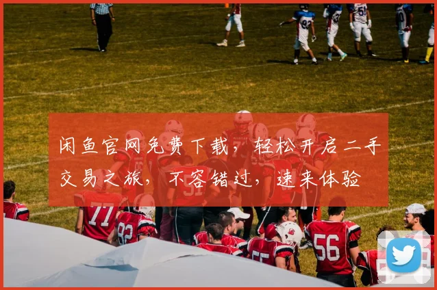 闲鱼官网免费下载，轻松开启二手交易之旅，不容错过，速来体验