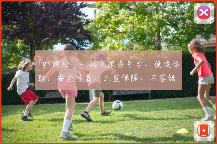 igs网址，一站式服务平台，便捷体验，安全可靠，三重保障，不容错过