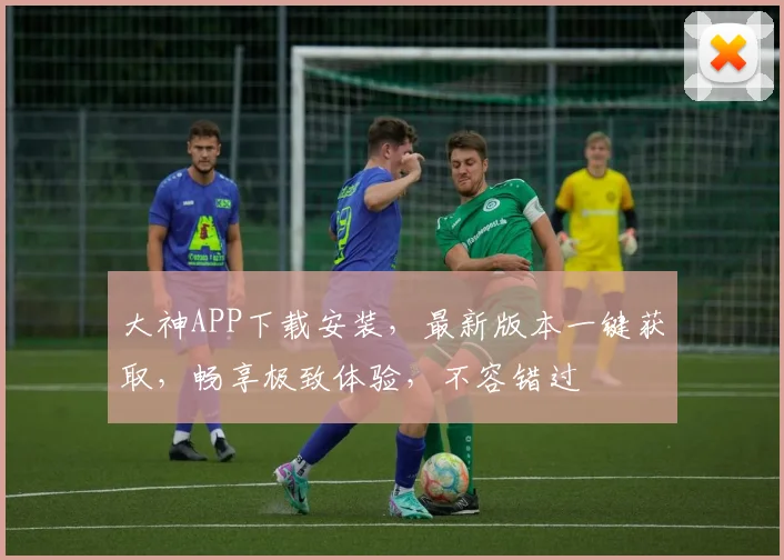 大神APP下载安装，最新版本一键获取，畅享极致体验，不容错过